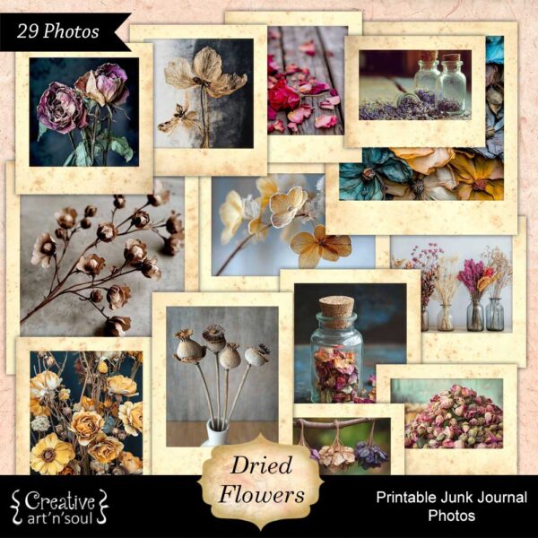 Printable Junk Journal Photos Dried Flowers