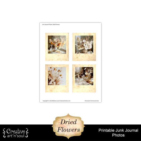 Printable Junk Journal Photos Dried Flowers
