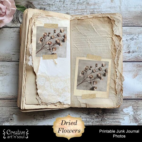 Printable Junk Journal Photos Dried Flowers