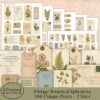 Printable Junk Journal Vintage Botanical Ephemera Collection