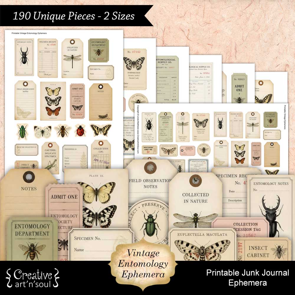 Printable Junk Journal Vintage Entomology Ephemera Collection Printable Junk Journal Vintage Entomology Ephemera Collection
