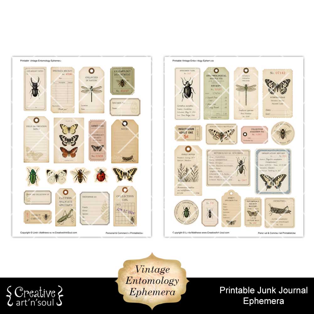 Printable Junk Journal Vintage Entomology Ephemera Collection Printable Junk Journal Vintage Entomology Ephemera Collection