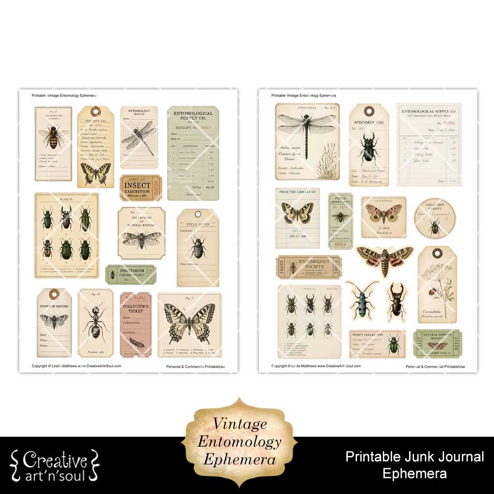 Printable Junk Journal Vintage Entomology Ephemera Collection Printable Junk Journal Vintage Entomology Ephemera Collection
