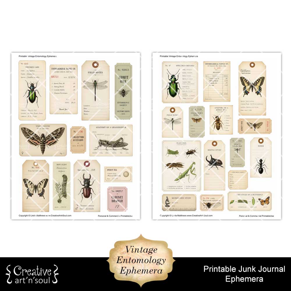 Printable Junk Journal Vintage Entomology Ephemera Collection Printable Junk Journal Vintage Entomology Ephemera Collection