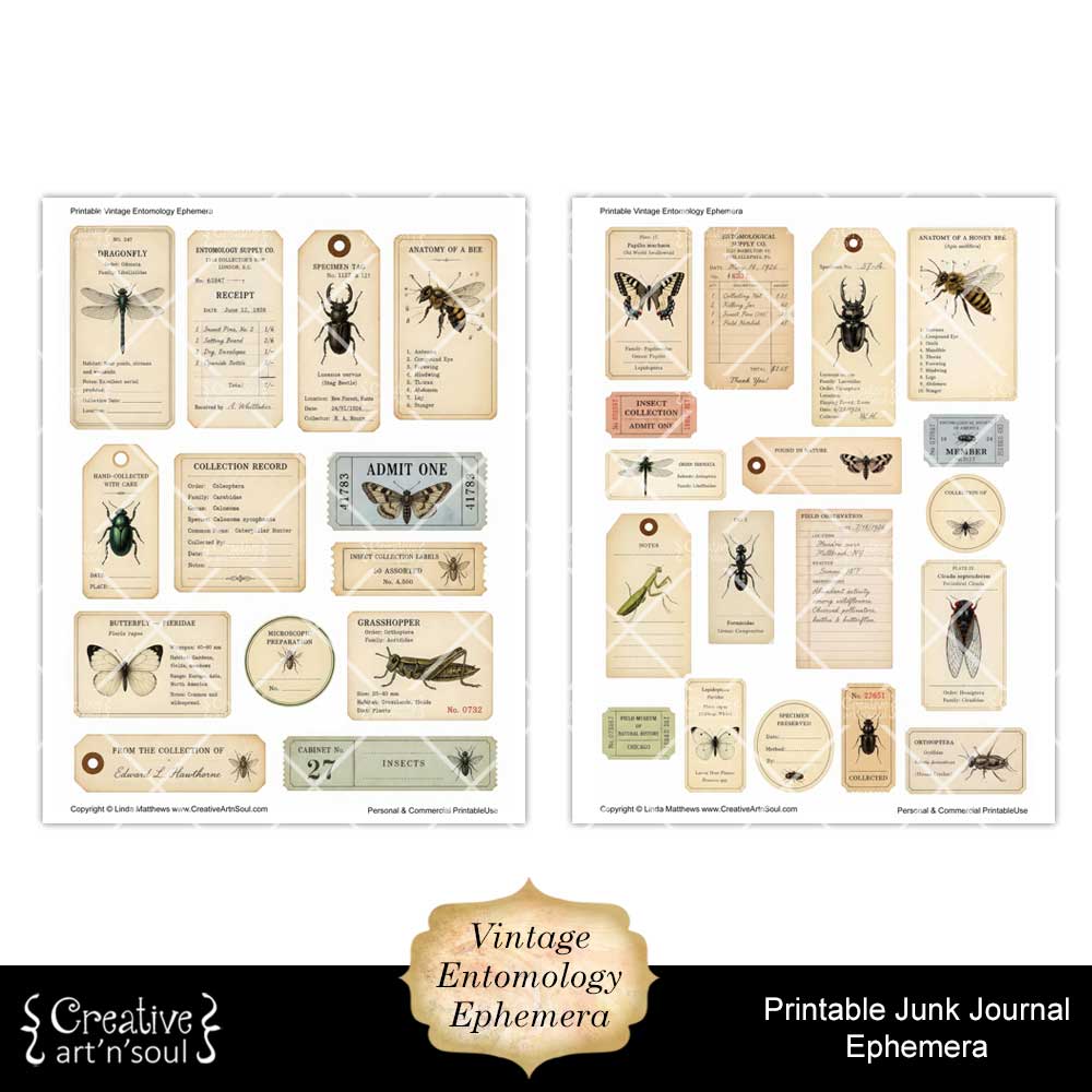Printable Junk Journal Vintage Entomology Ephemera Collection Printable Junk Journal Vintage Entomology Ephemera Collection