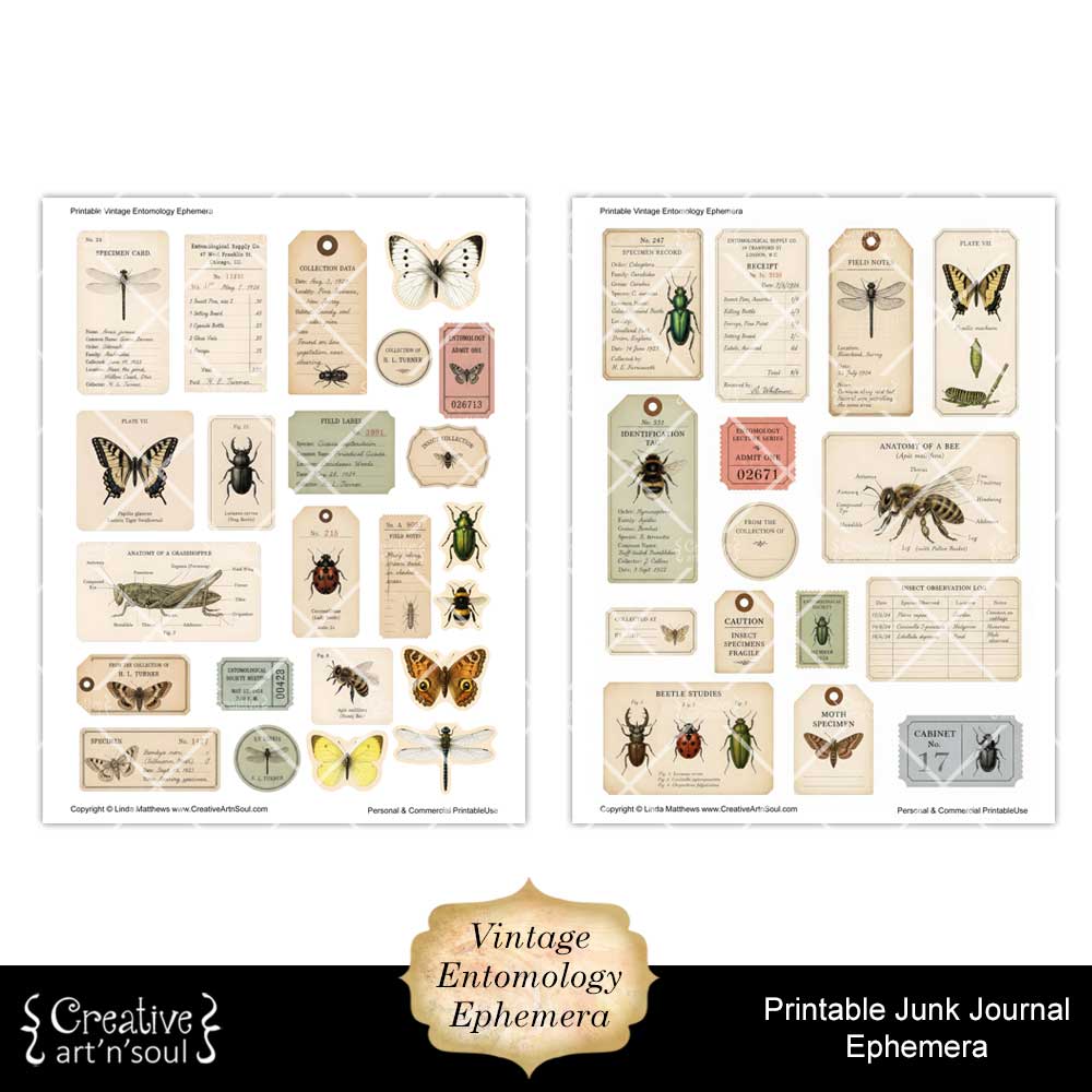 Printable Junk Journal Vintage Entomology Ephemera Collection Printable Junk Journal Vintage Entomology Ephemera Collection