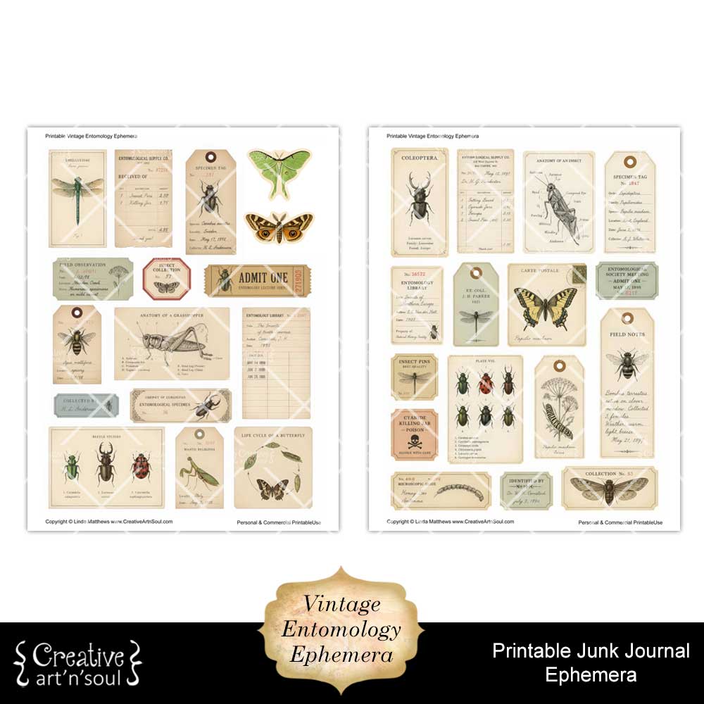 Printable Junk Journal Vintage Entomology Ephemera Collection Printable Junk Journal Vintage Entomology Ephemera Collection