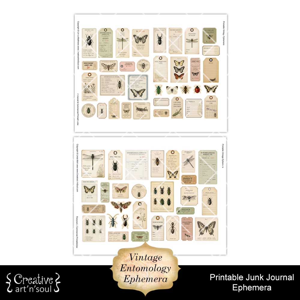 Printable Junk Journal Vintage Entomology Ephemera Collection Printable Junk Journal Vintage Entomology Ephemera Collection