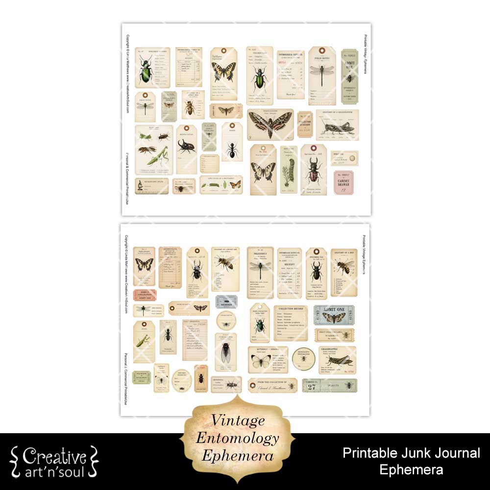 Printable Junk Journal Vintage Entomology Ephemera Collection Printable Junk Journal Vintage Entomology Ephemera Collection