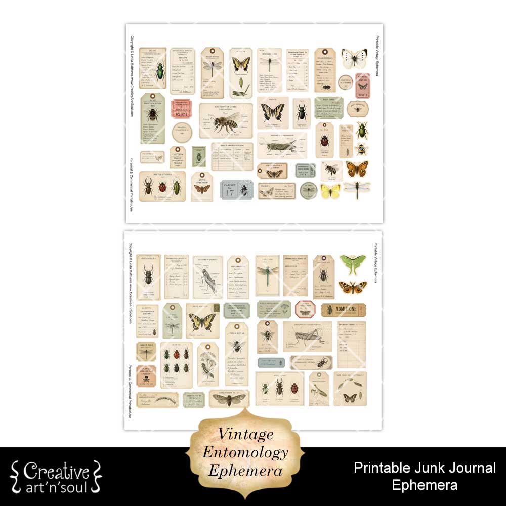 Printable Junk Journal Vintage Entomology Ephemera Collection Printable Junk Journal Vintage Entomology Ephemera Collection