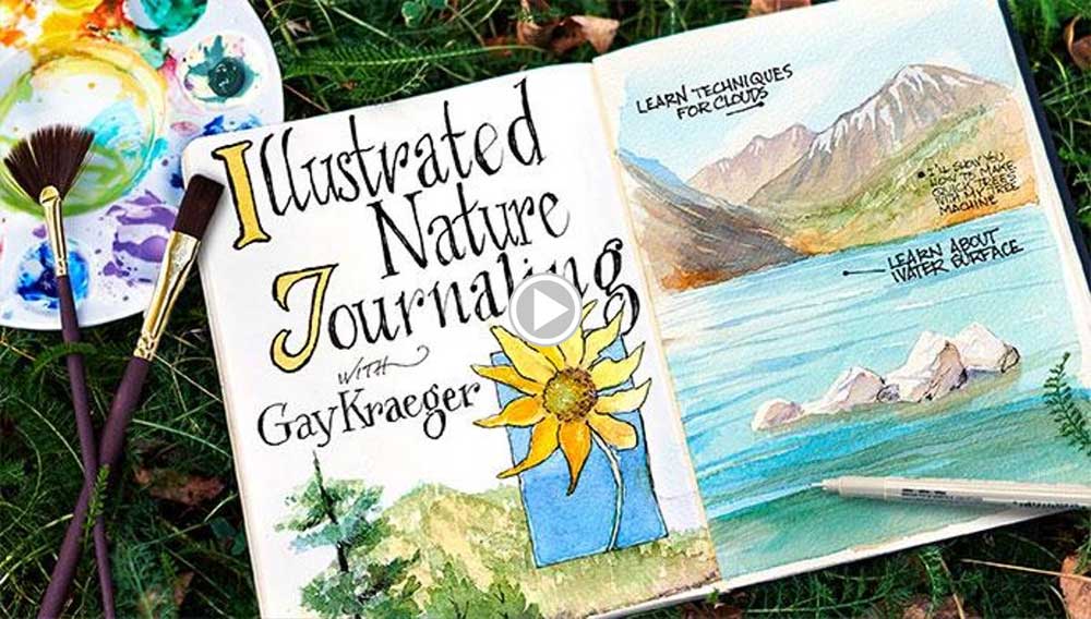 Illustrated Nature Journaling