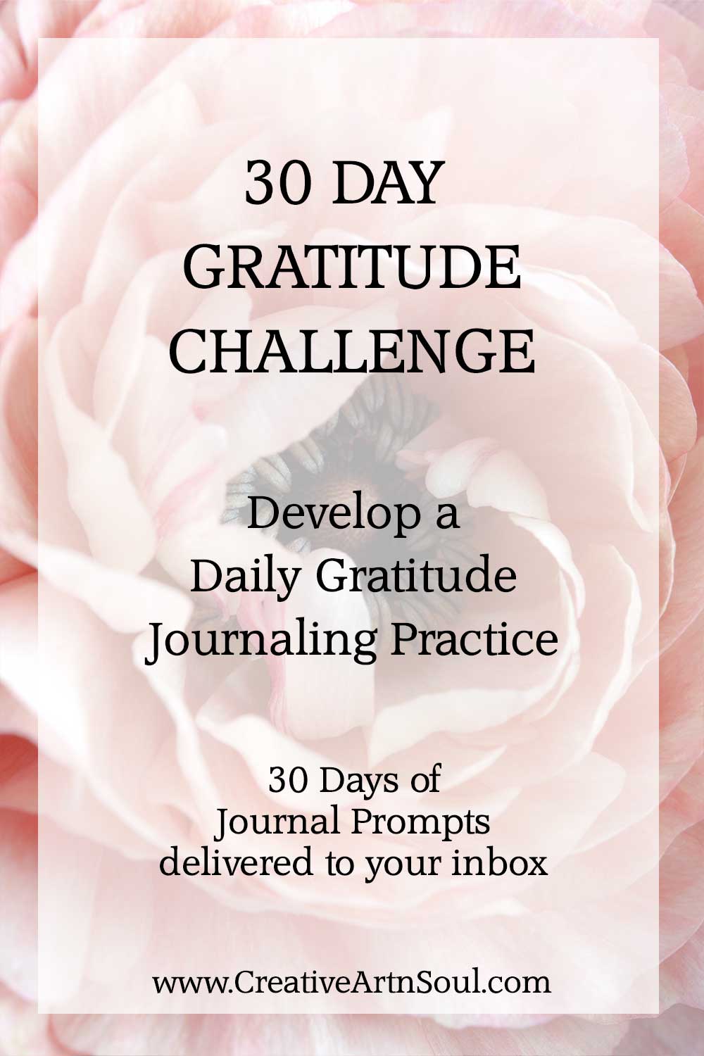 Take the 30 Day Gratitude Challenge and Develop a Daily Gratitude Journaling Practice